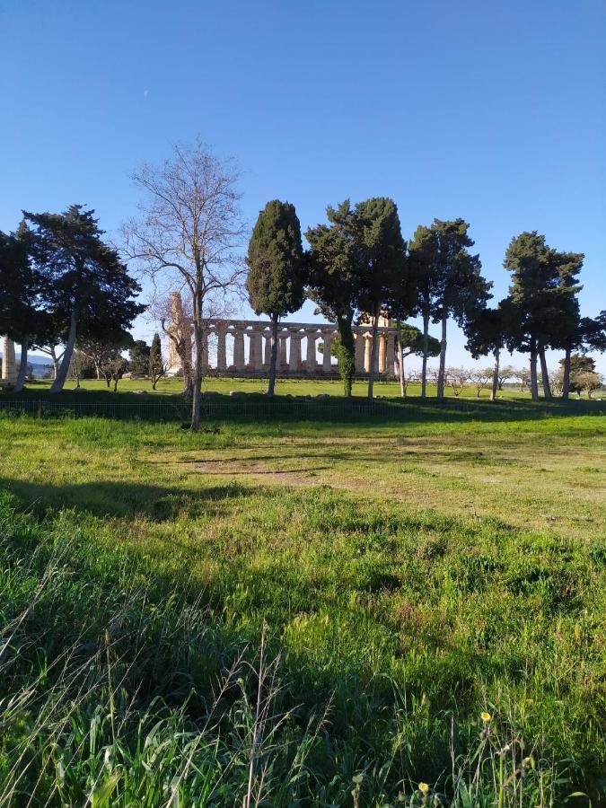 Goethe Paestum House Apartment ภายนอก รูปภาพ